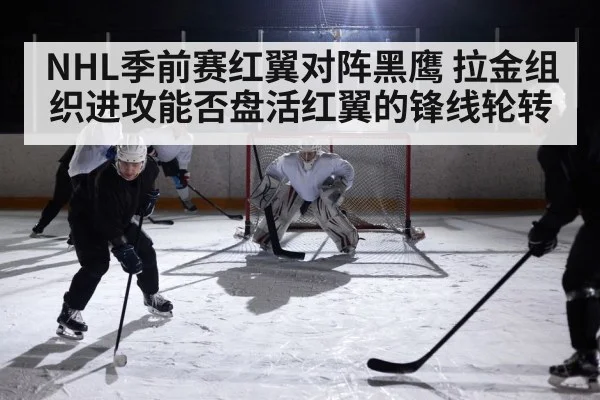 NHL季前赛红翼对阵黑鹰 拉金组织进攻能否盘活红翼的锋线轮转 - kaiyun