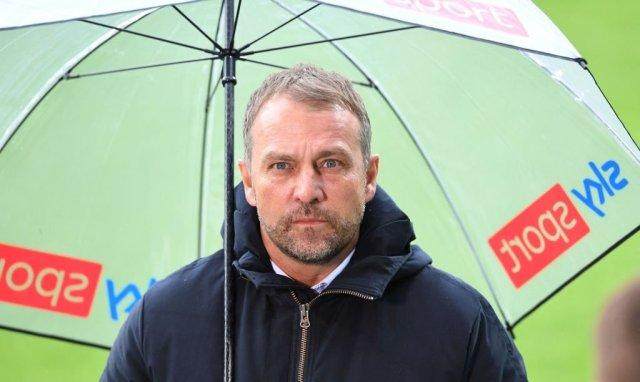 1615763373408032505.jpg 42f18f9d-518a-4d59-addc-43e3c4e2e145.jpg