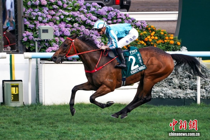 开云体育下载-香港赛驹“浪漫勇士”四夺“女皇杯”冠军|赛马|香港沙田马场|体育比赛|保险|比赛_新浪体育_新浪新闻